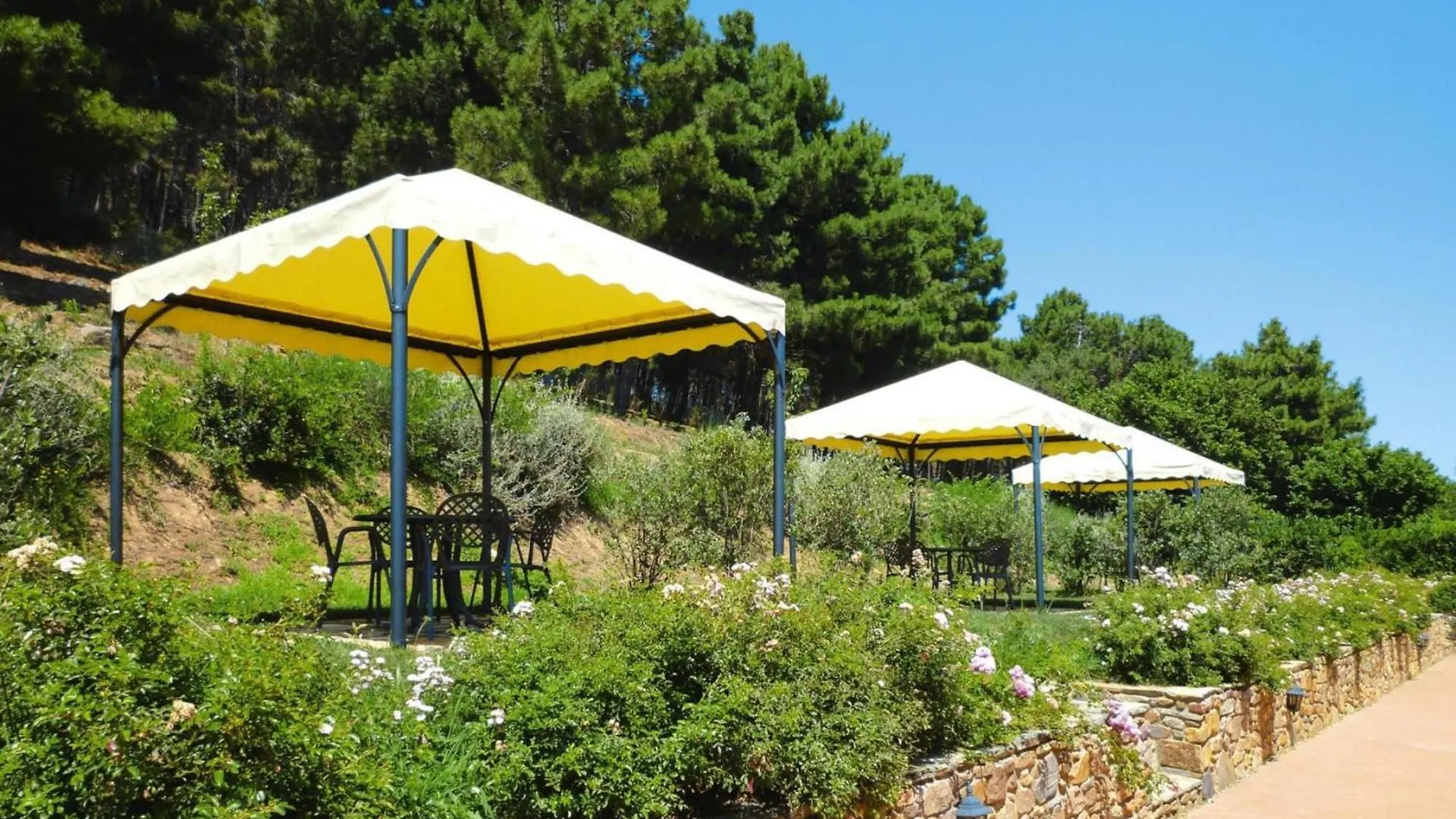 Agriturismo Cima Alla Serra, Pisa