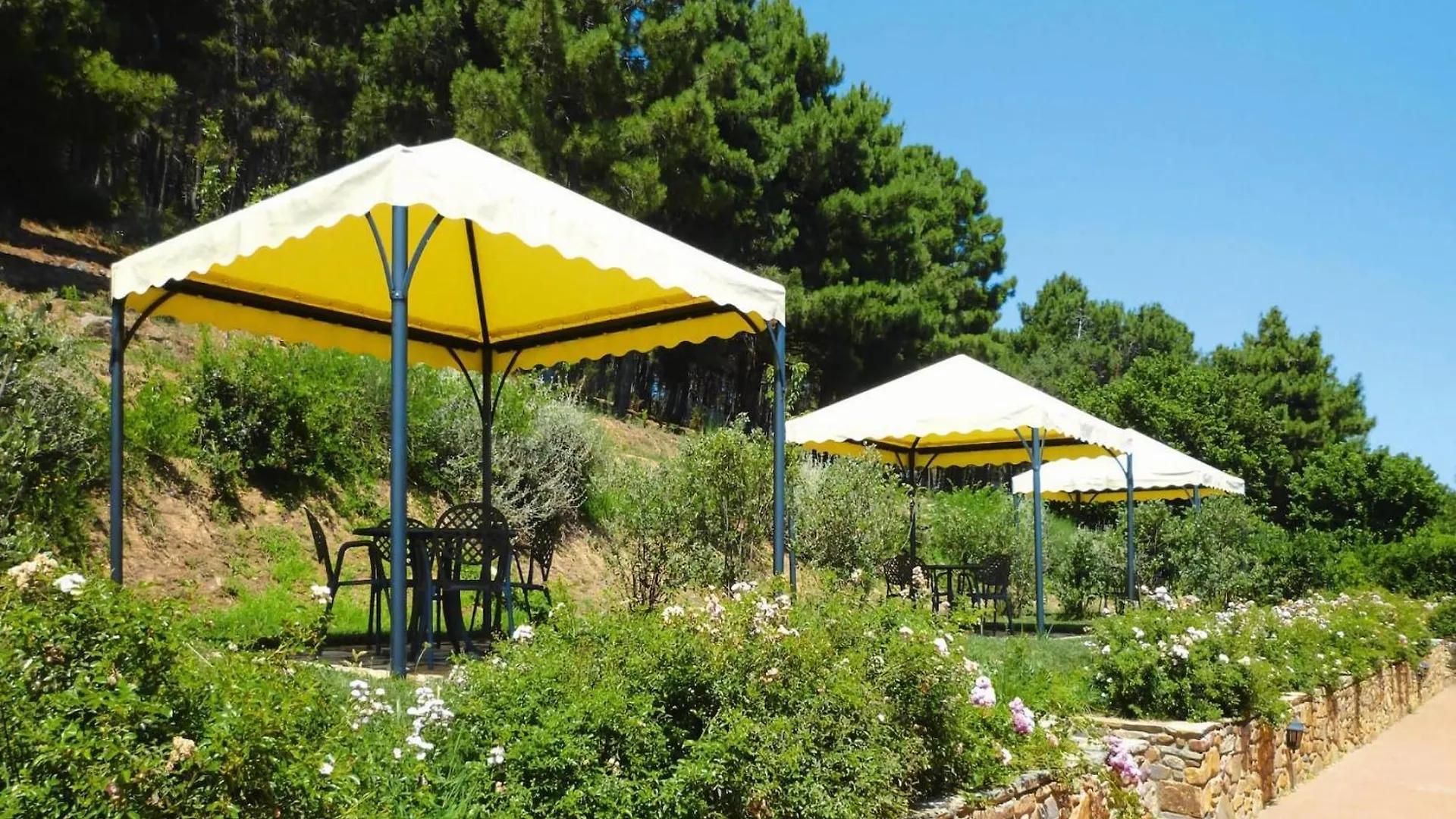 Agriturismo Cima Alla Serra, Pisa 0*,